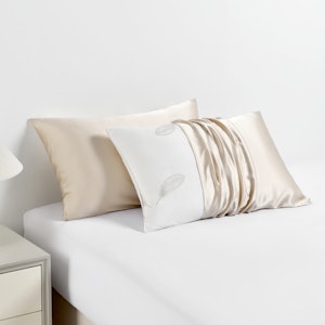 1PC 19 Momme Terse Envelope Silk Pillowcase