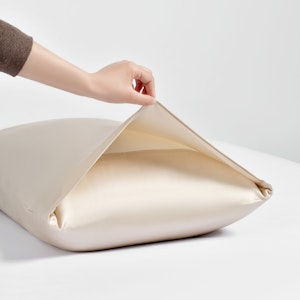 1PC 19 Momme Terse Envelope Silk Pillowcase