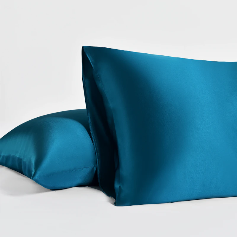 2 Pack 19 Momme Terse Envelope Silk Pillowcase