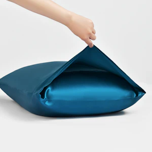 2 Pack 19 Momme Terse Envelope Silk Pillowcase