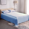 19 Momme Seamless Silk Flat Sheet Color