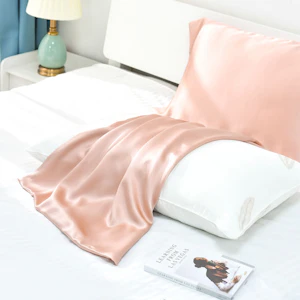 30 Momme Terse Envelope Silk Pillowcase Ultra Luxury