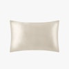 19 Momme Terse Silk Pillowcase With Hidden Zipper Color