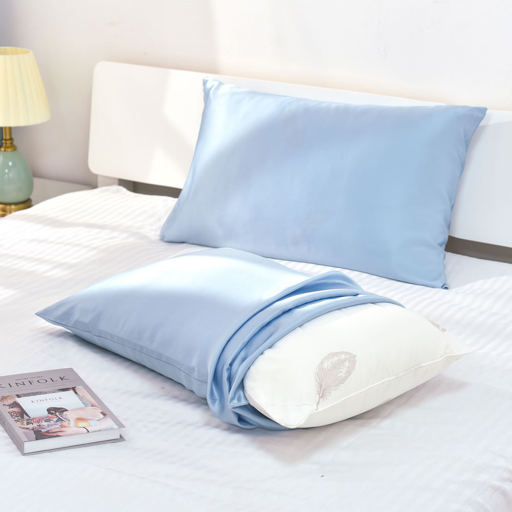 1PC 19 Momme Zippered Silk Pillowcase detail Image