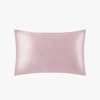 19 Momme Terse Envelope Silk Pillowcase Color