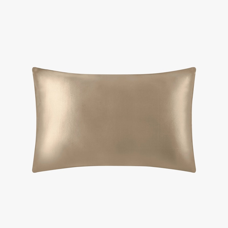 1PC 19 Momme Zippered Silk Pillowcase