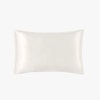 19 Momme Terse Silk Pillowcase With Hidden Zipper Color