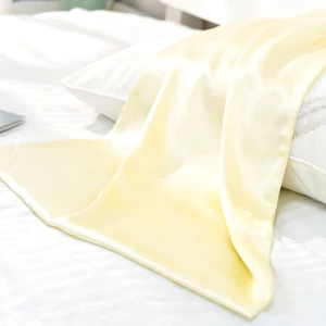 30 Momme Terse Silk Pillowcase With Hidden Zipper