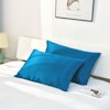 30 Momme Terse Silk Pillowcase With Hidden Zipper Color