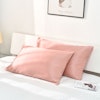 30 Momme Terse Silk Pillowcase With Hidden Zipper Color