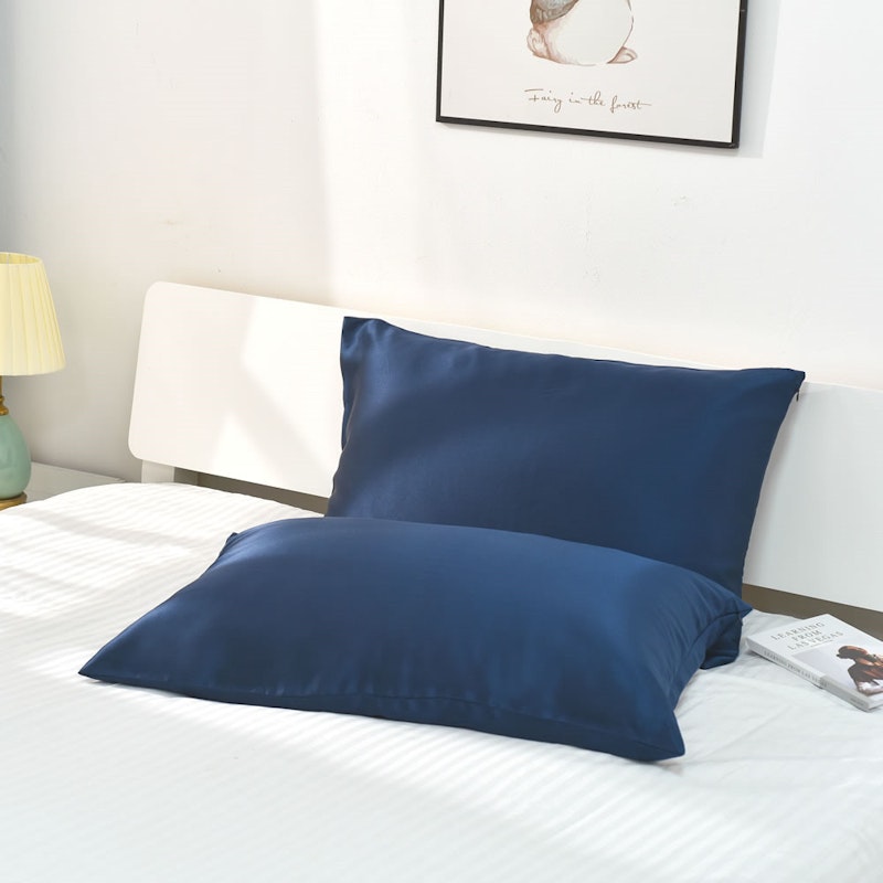 30 Momme Terse Silk Pillowcase With Hidden Zipper RachelSilk United