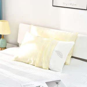 30 Momme Terse Silk Pillowcase With Hidden Zipper