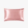 19 Momme Oxford Envelope Silk Pillowcase Color