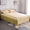 30 Momme Seamless Silk Flat Sheets Color
