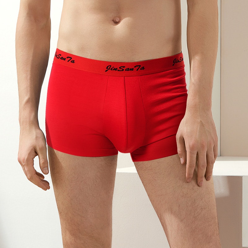 Men's Ultra Soft Silk Knitted Boxer RachelSilk United States