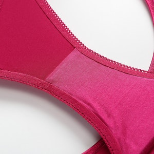 Sexy Silk Thong Panty With Lace