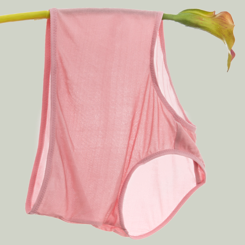 Women Silk Panties 4pcs/lot 100% Natural Silk Lining Sexy Transparent Back  Mid-rise Briefs