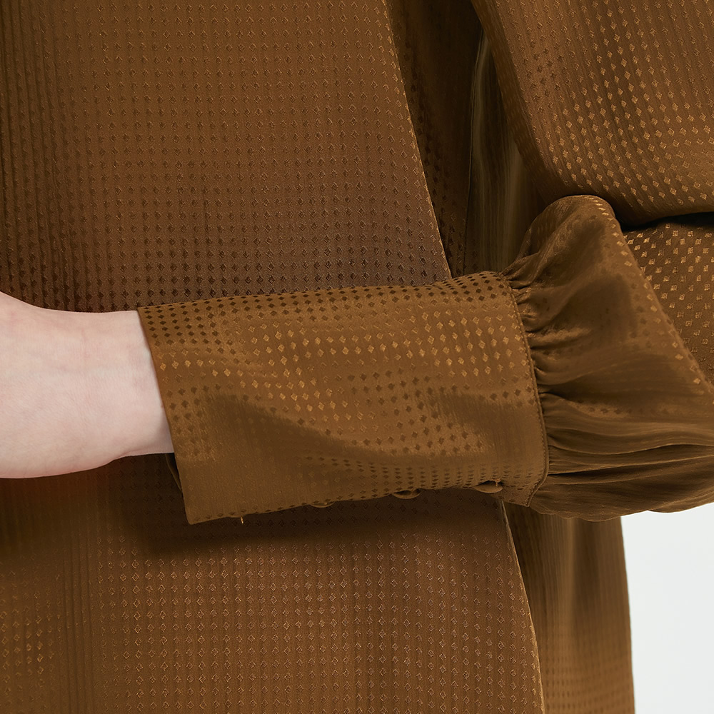 Women Jacquard Silk Bow Tie Blouse detail Image